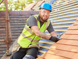 Best Roof Maintenance and Cleaning  in Holgate, OH